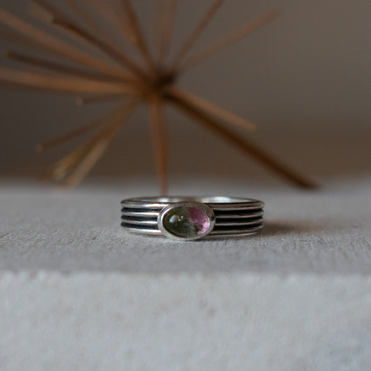 ANILLO COSMOS