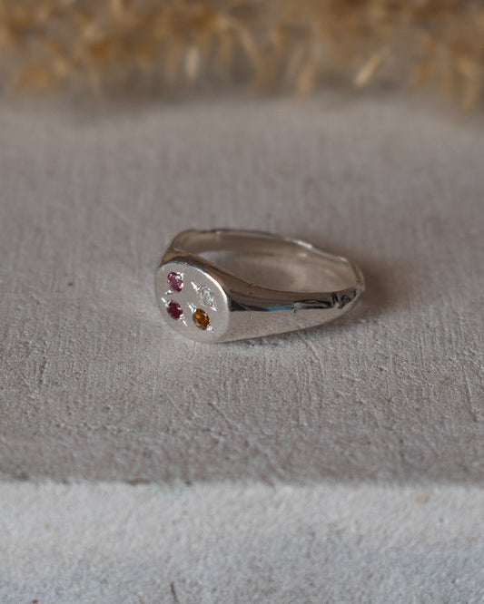ANILLO FAMILIA