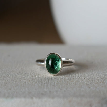 ANILLO BÁSICO